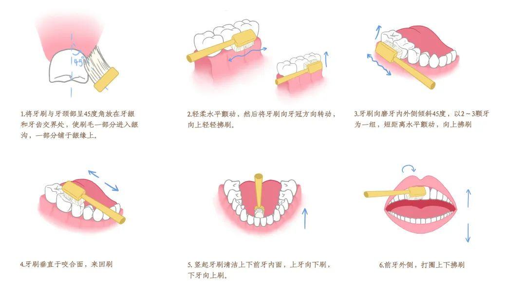 日常护牙必备小技巧大揭秘(图2)