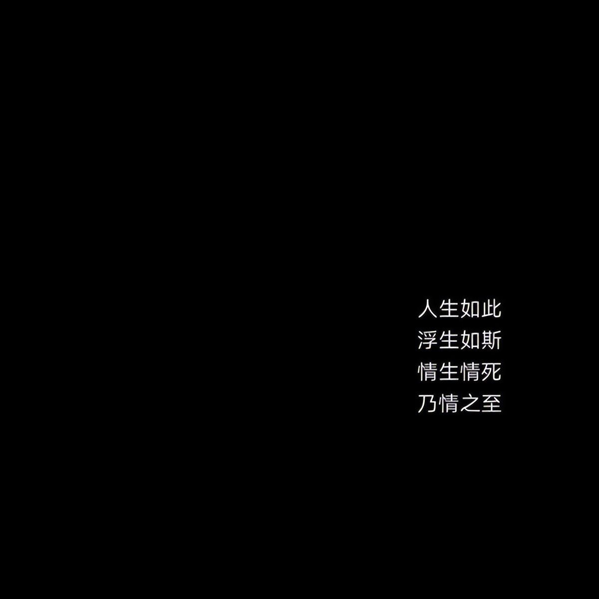 流行文字图片黑白伤感 庸人一时兴起何来红颜为倾城(图5)