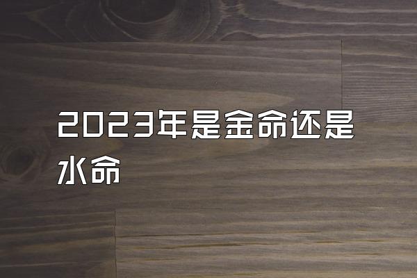 2023年是金命还是水命