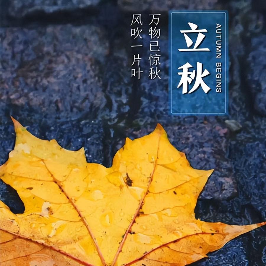 立秋节气发朋友圈的唯美图片 立秋朋友圈精美好看的配图(图7)