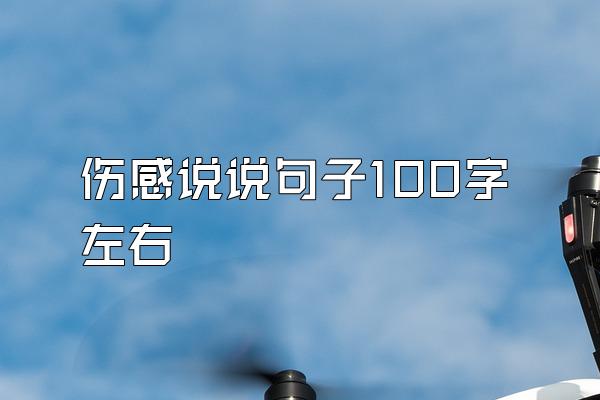 伤感说说句子100字左右