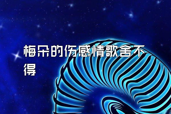 梅朵的伤感情歌舍不得