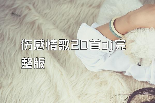 伤感情歌20首dj完整版