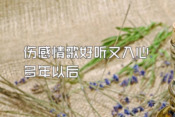 伤感情歌好听又入心多年以后