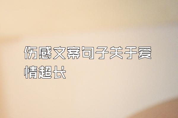 伤感文案句子关于爱情超长